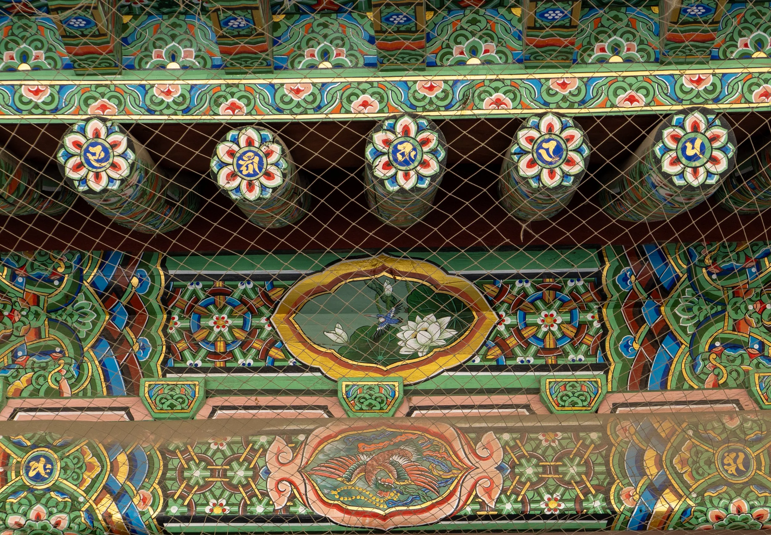 P1000175.jpg