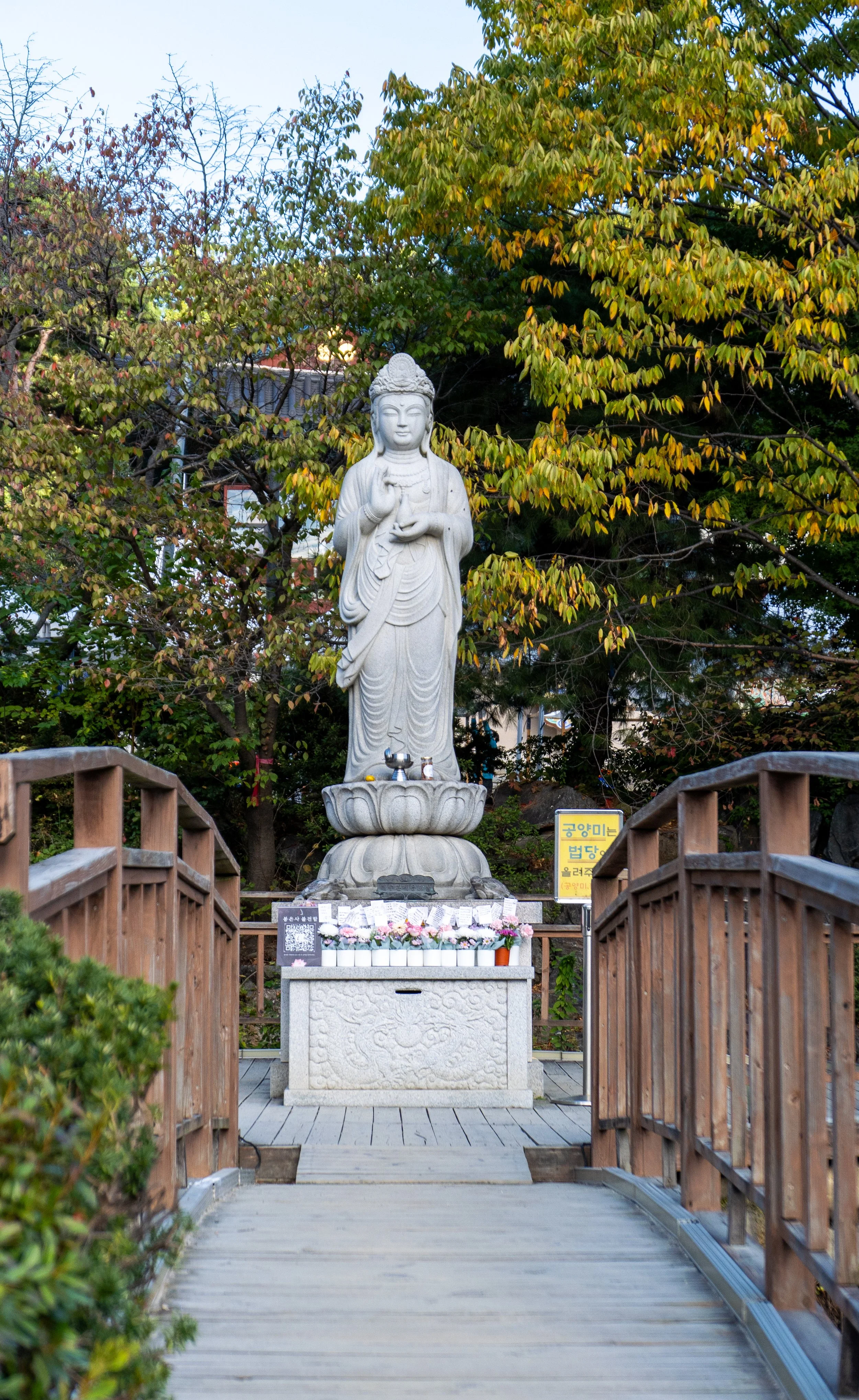 P1000188.jpg