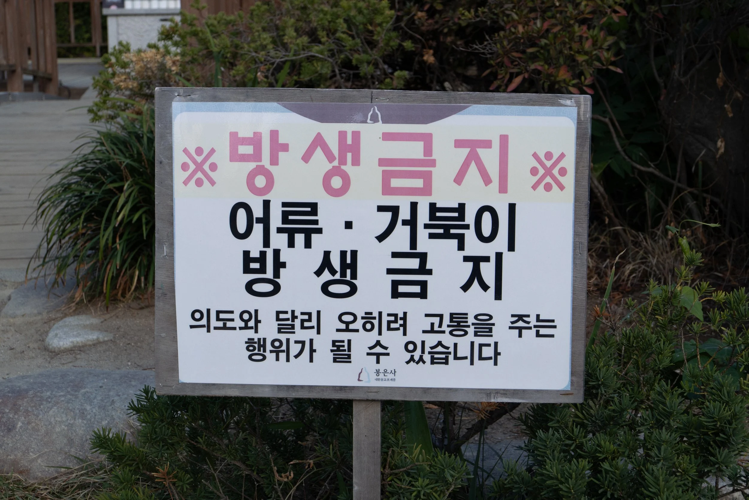 P1000190.jpg