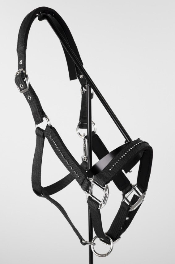 LICOL AMOUR NOIR.jpg