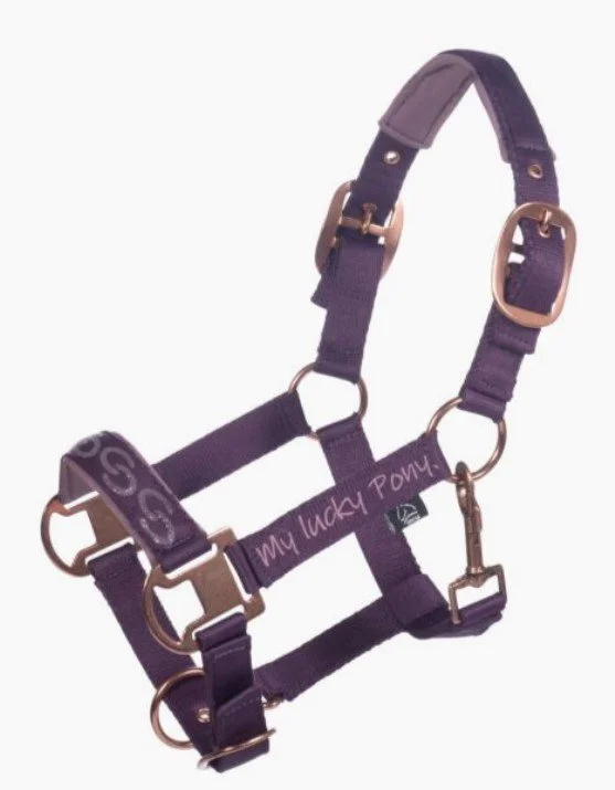 LICOL ALVA PONEY.jpg