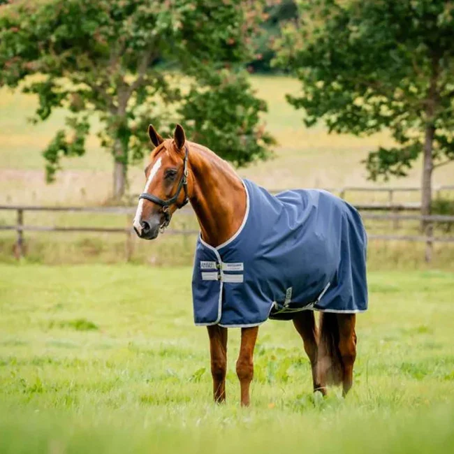 Réparation couverture cheval