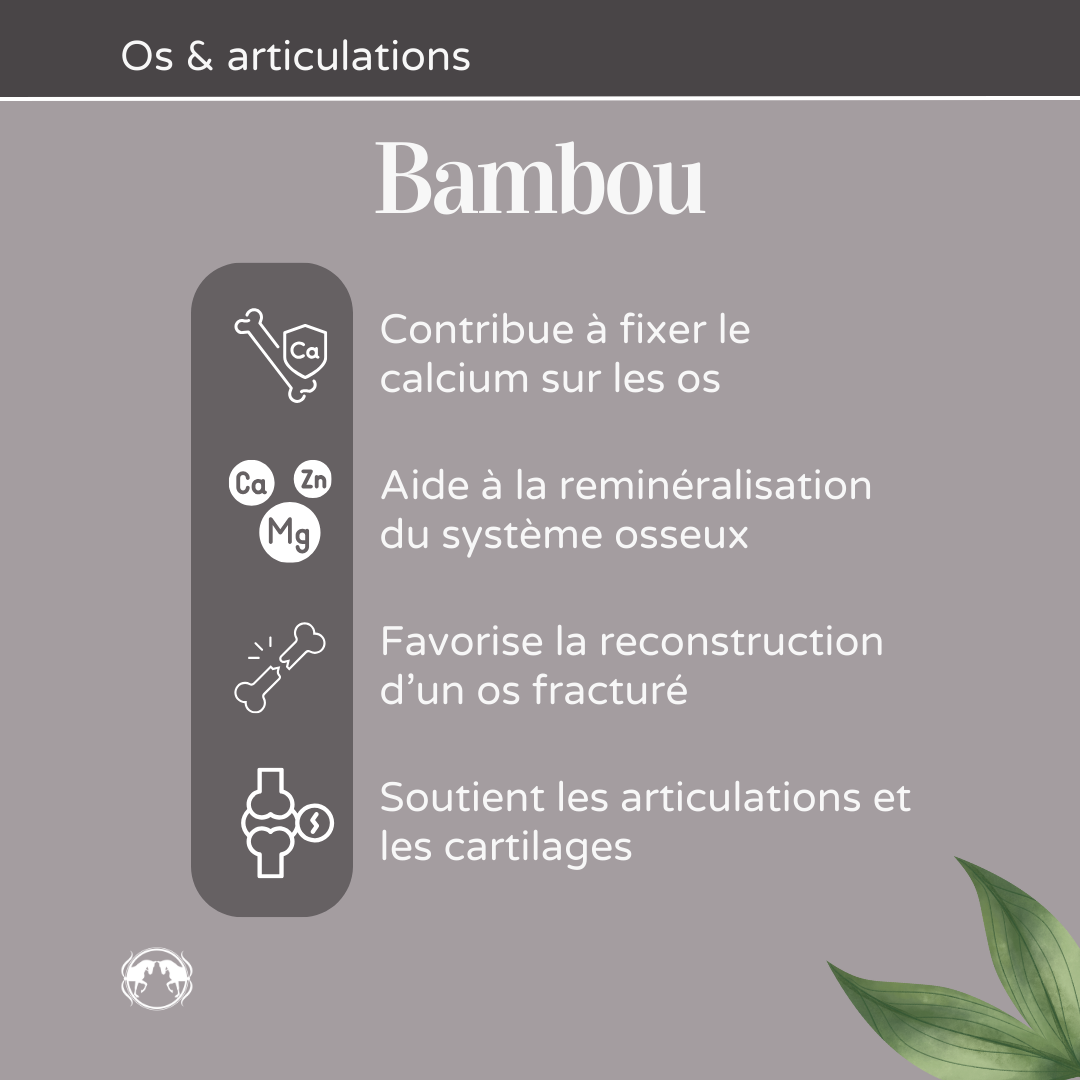 Avantages-produits-12.png