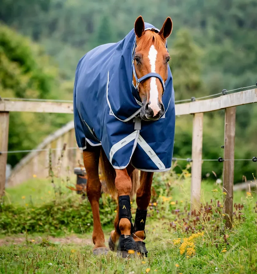 aarp74-bji0-amigo-bravo-12-plus-turnout-400g-heavy-navy-horse_apjwghadj4znsh6g.webp