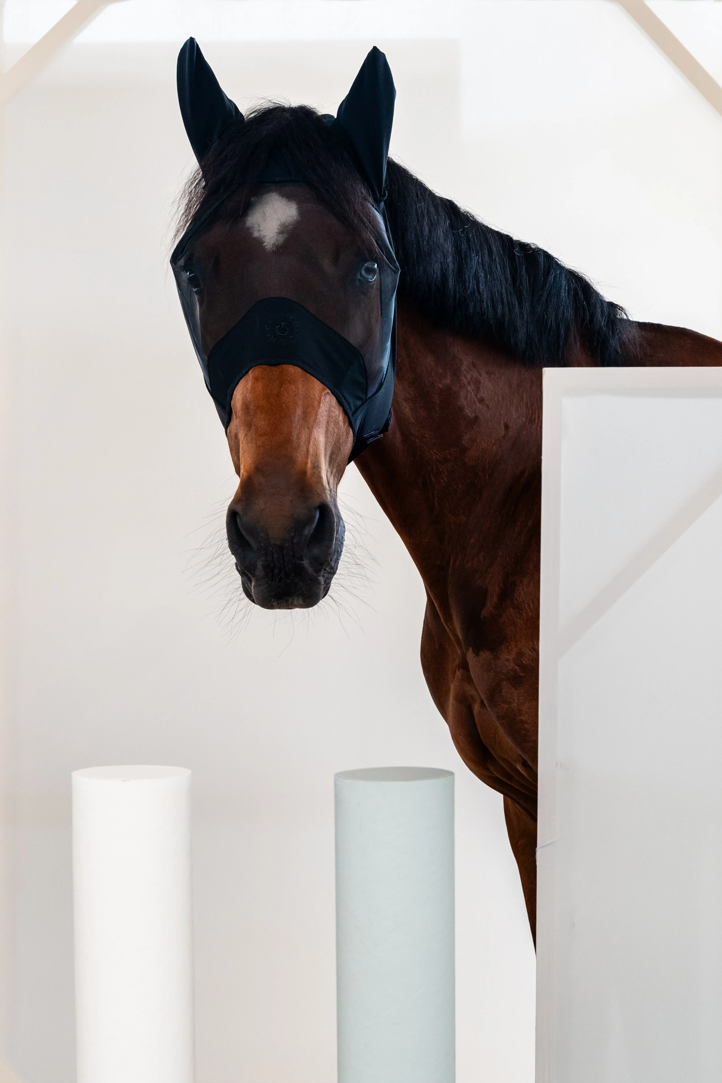 MAS003 PL092 CT Fly Mask Short