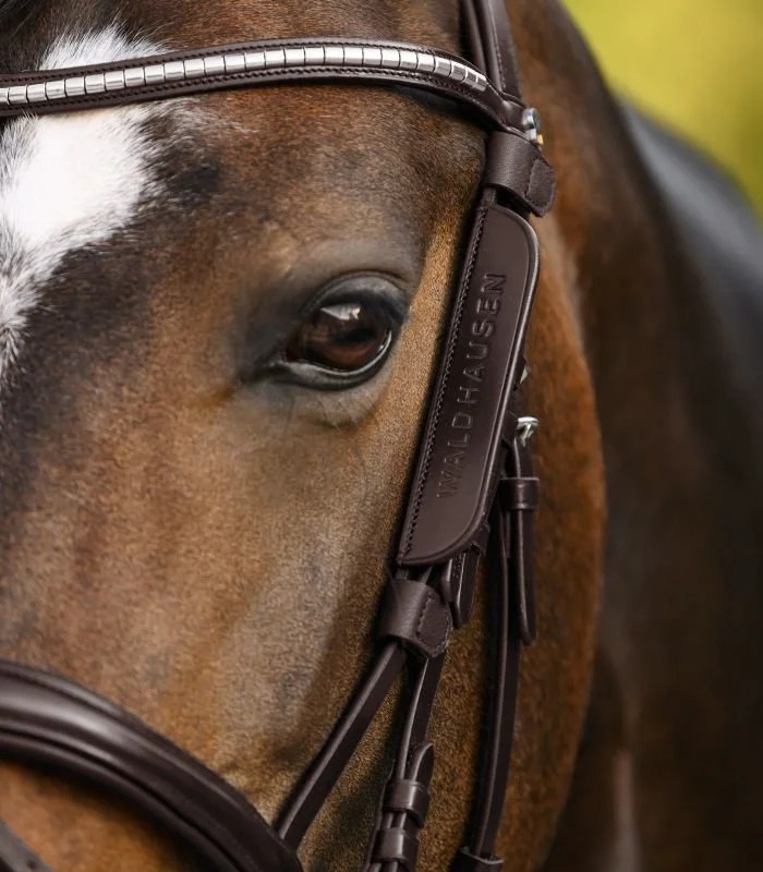 Waldhausen Œillère, petite