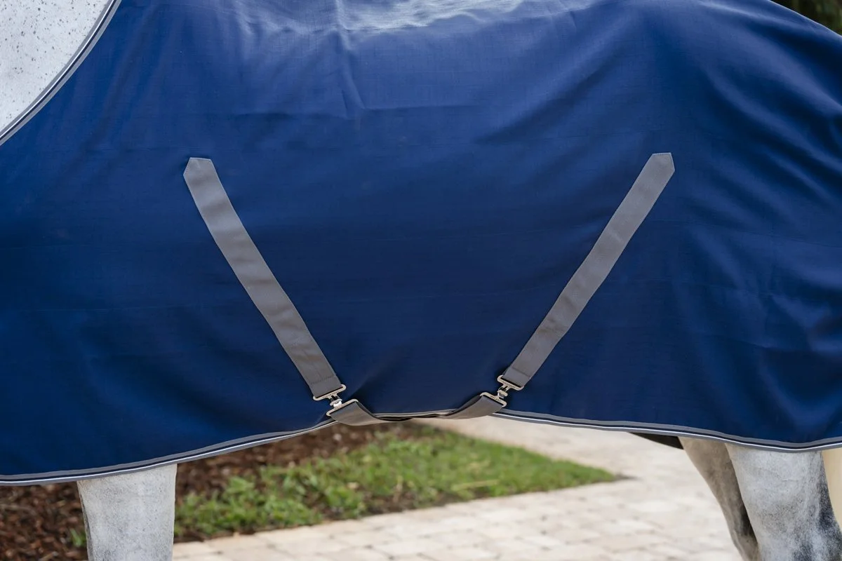 2.ADAAA0-BJJI-Rambo-Stable-Sheet (3).jpg