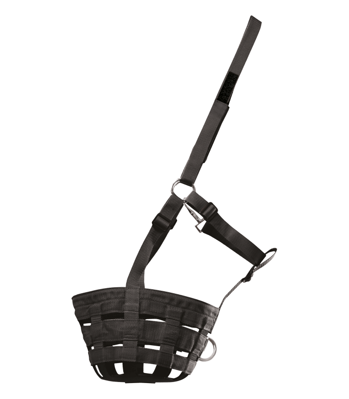 5724601-PON_03_800x800.png