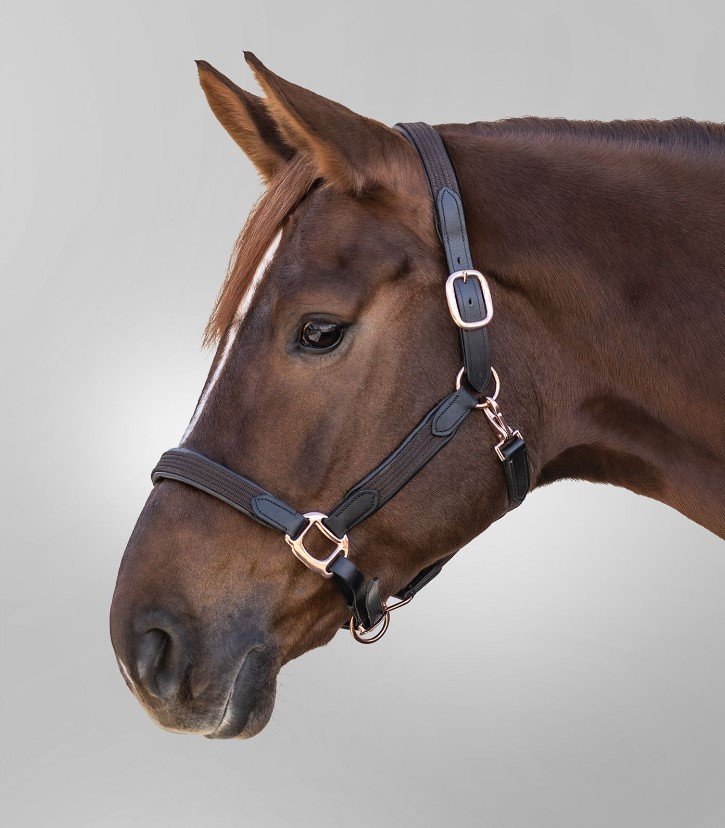 WALD LICOL STAR MIX MARRON.jpg