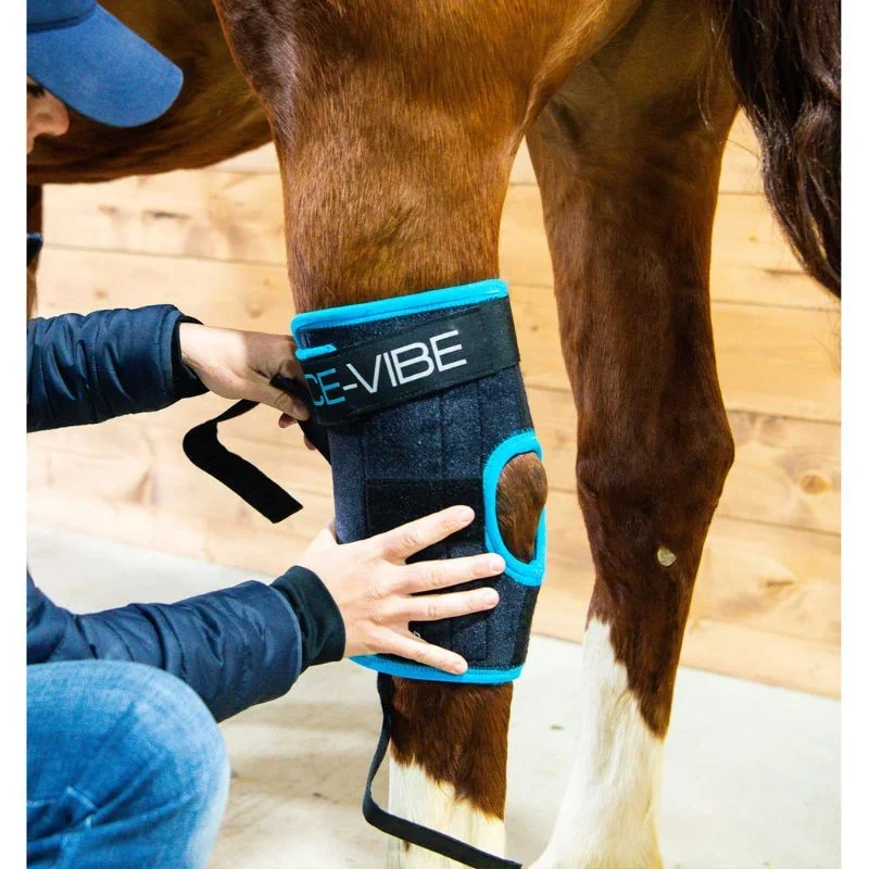 ice-vibe (1).webp