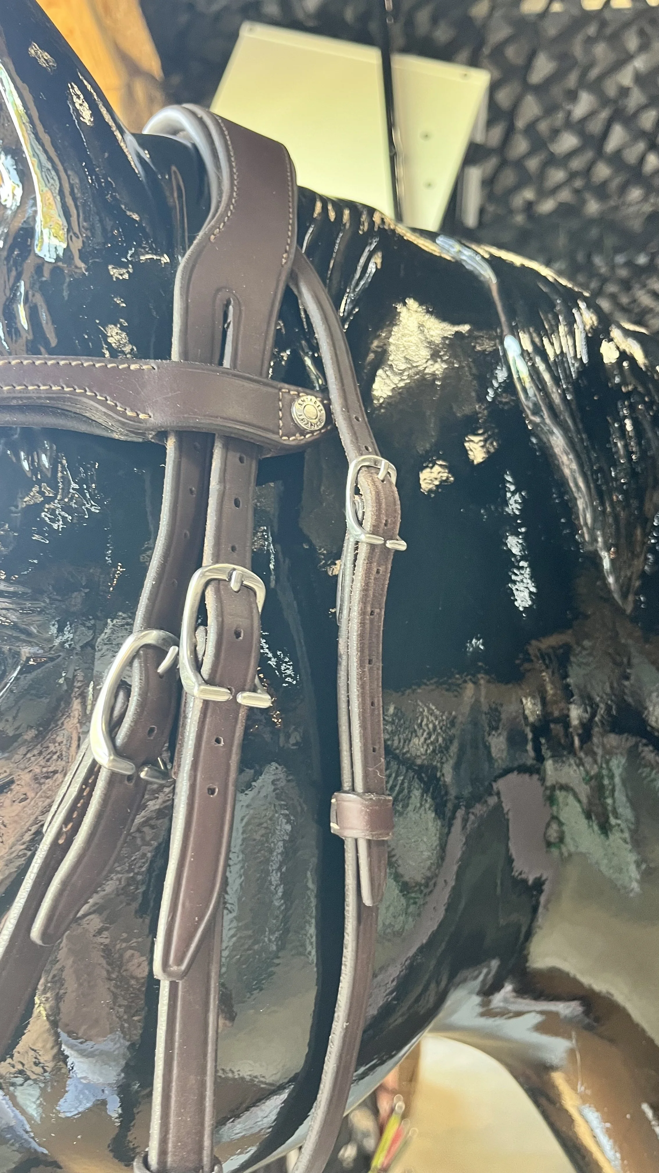 IMG_3217.jpeg