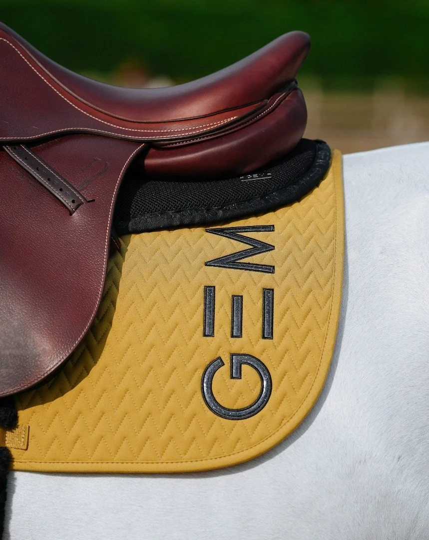 tapis-ten-obstacle- (6).jpg