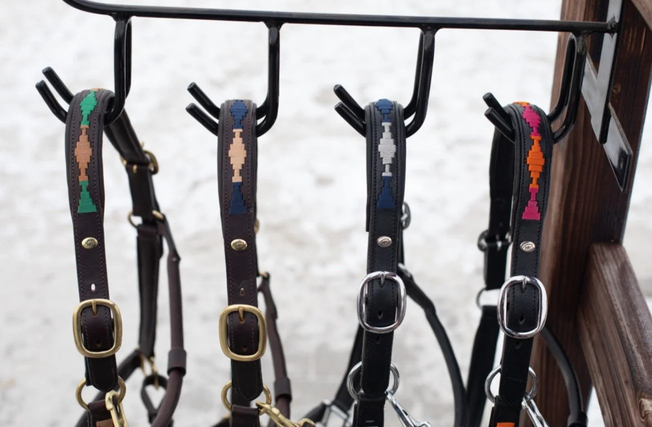 LICOLS POLO COULEURS.jpg