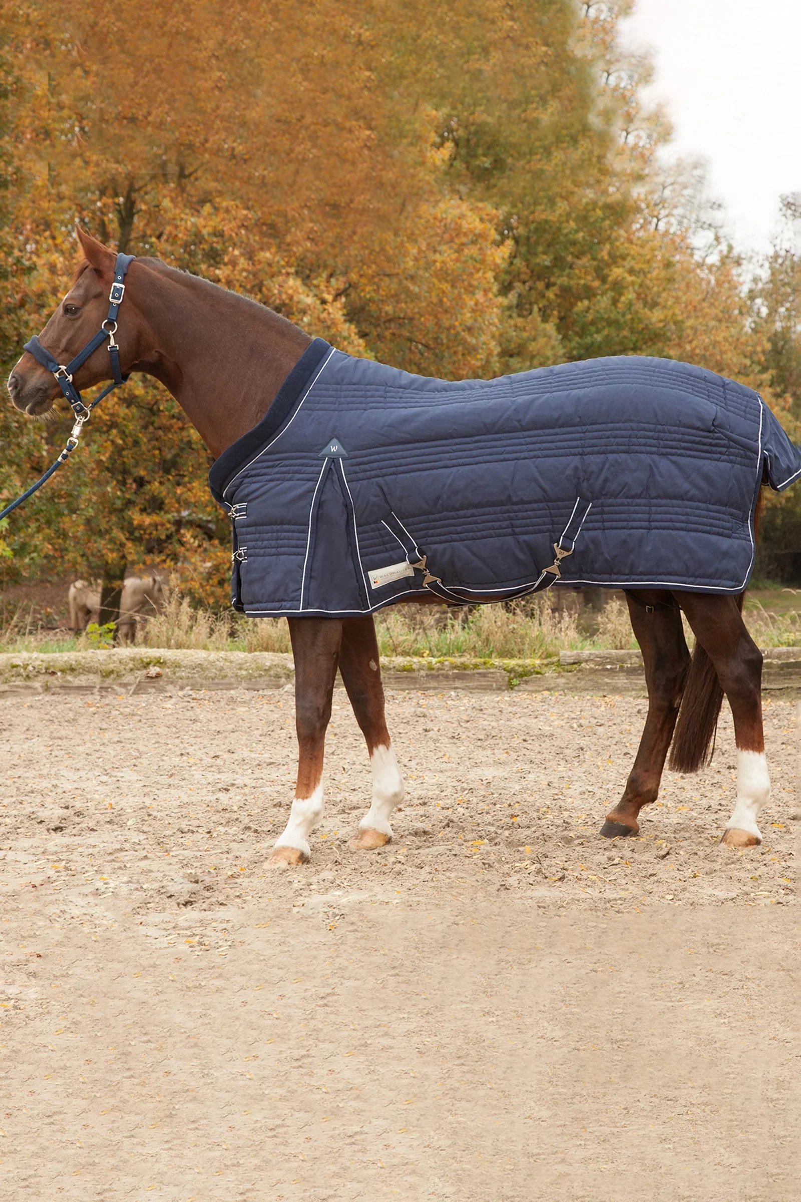 Stable Rug Comfort Line