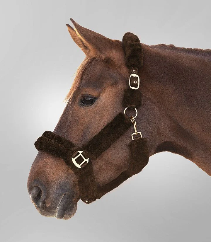 WALD LICOL COSY MARRON.jpg