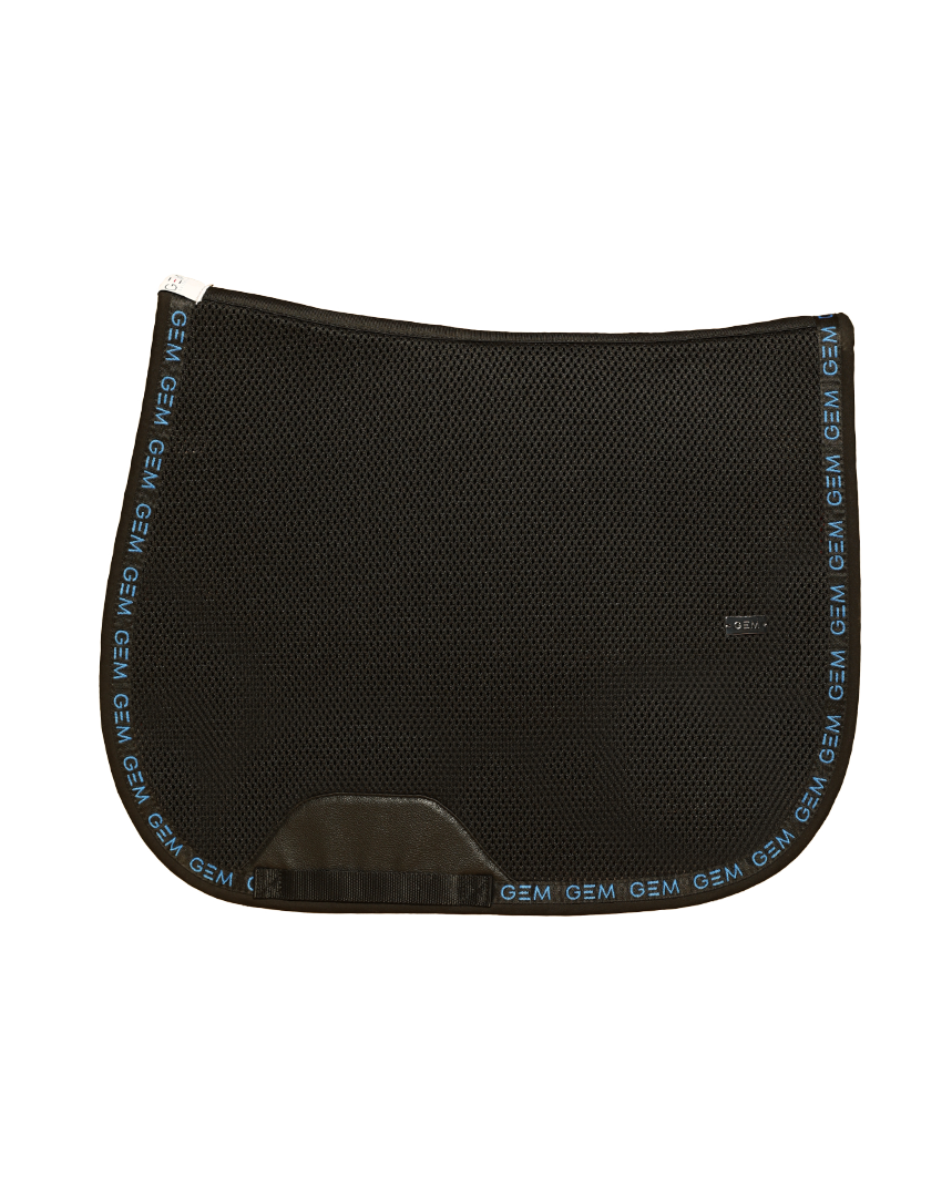 MESH BLEU.png