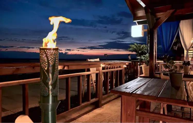 Bird Of Paradise Electronic Ignition Gas Tiki Torch Nigh On Deck