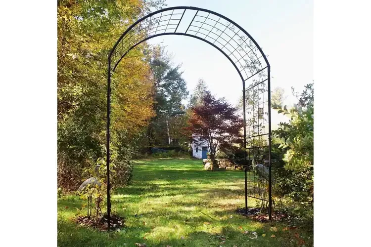 Monet II Arbor