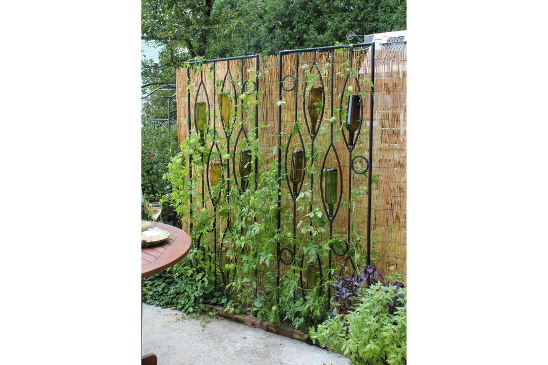 Vinifera Bottle Trellis Used as a Fence Section