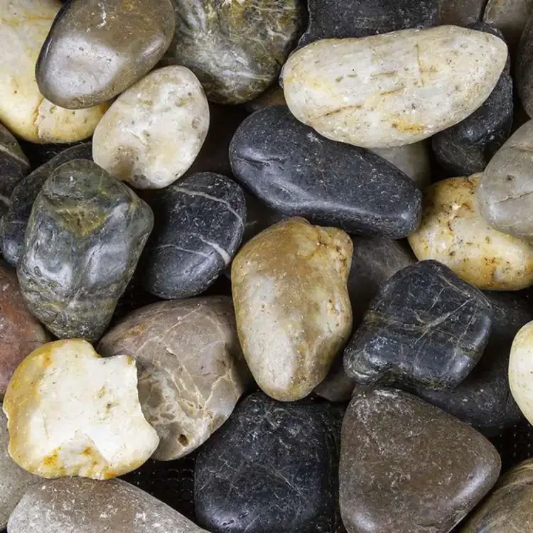 Polished Pebbles in Mixed Color