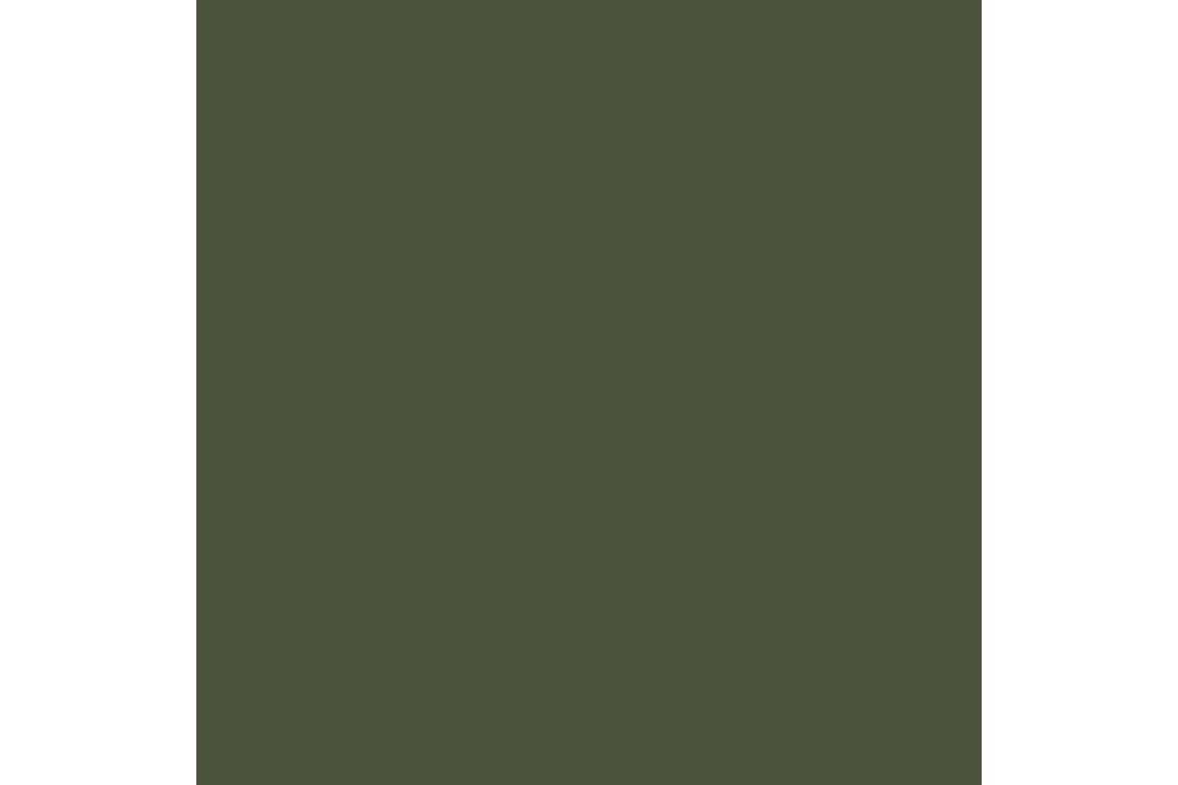 Polished Firewood Rack 69.5 x 35 x 81 cm in Olive Green Made of Cold-Rolled Steel