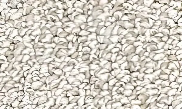 Cozy II Khaki Half Round Olefin Hearth Rug Close Up