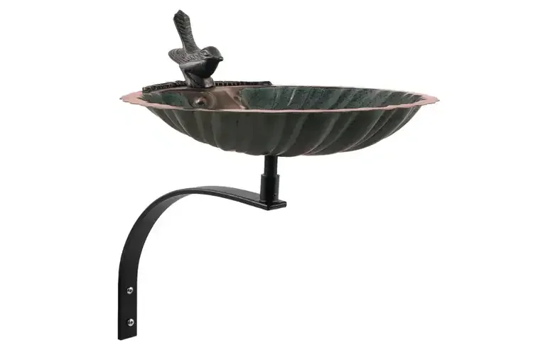 Scallop Shell Birdbath & Wall Mount Bracket With a Sturdy Wrought Iron Bracket
