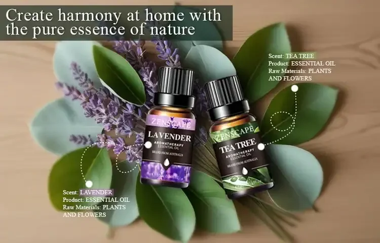Create Harmony In Your Home With Zen Scape Flower And Fruit Essential Oils