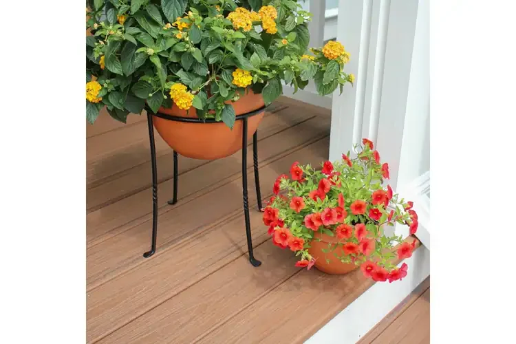 18" Ring Stand