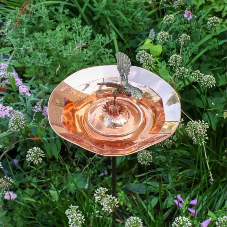 Hummingbird Birdbath Bowl Built from Tough, Water-Resistant Brass