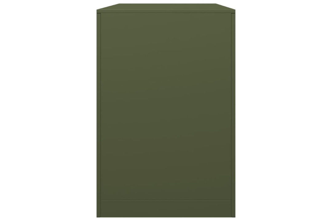 Sleek Firewood Rack 100 x 40 x 60 cm Steel in Green Made of Steel