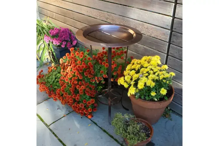 18" Classic Copper Birdbath & Tulip Stand