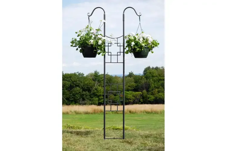 Double Pole Trellis