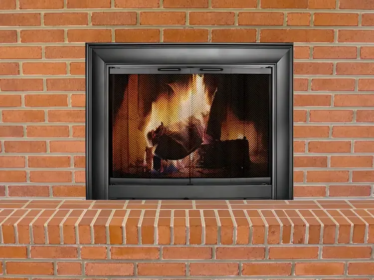 Celebrity Fireplace Door Installed