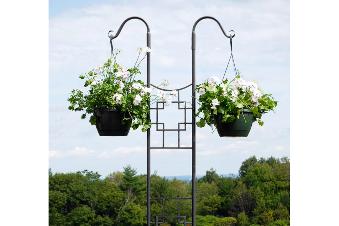 Double Pole Trellis