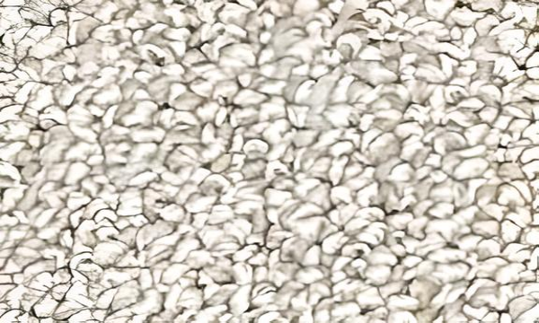 Cozy II Khaki Half Round Olefin Hearth Rug Close Up