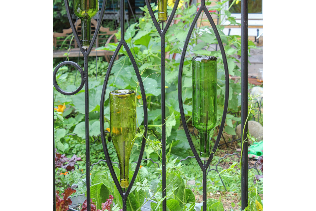 Vinifera Bottle Trellis Each With a Rod and Cork Stopper