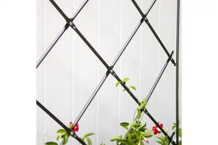 Free-standing Lattice Garden Trellis Can Be Used as a Privacy Screen