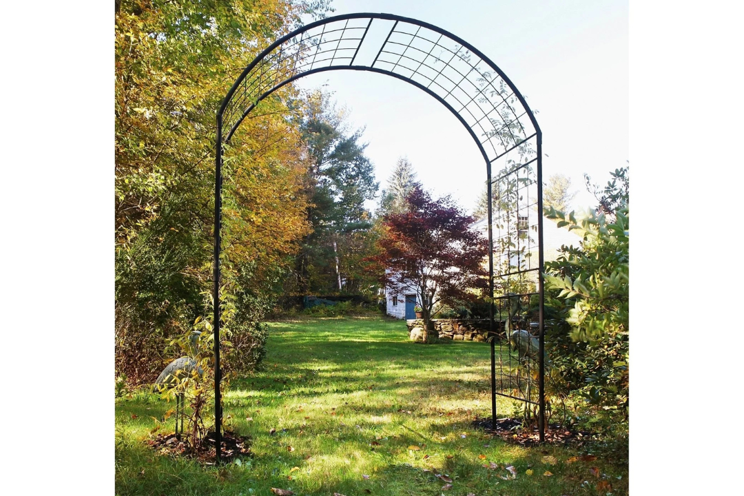 Monet II Arbor