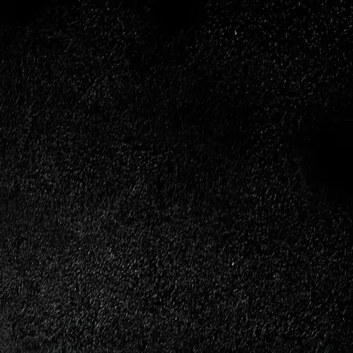 Textured Black Finish Celebrity Masonry Fireplace Glass Door