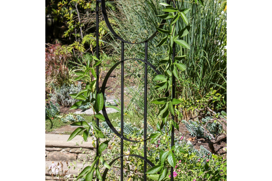 Elegant Samsara Arbor
