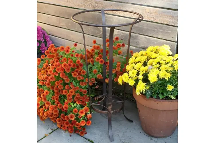 18" Classic Copper Birdbath & Tulip Wrought Iron Stand
