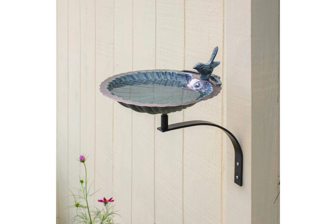 Scallop Shell Birdbath & Wall Mount Bracket