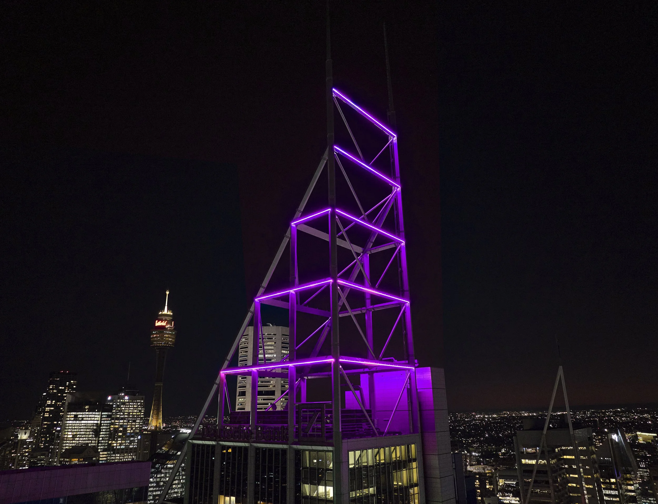 SkyMonkey_0094 -1 copy -purple.jpg