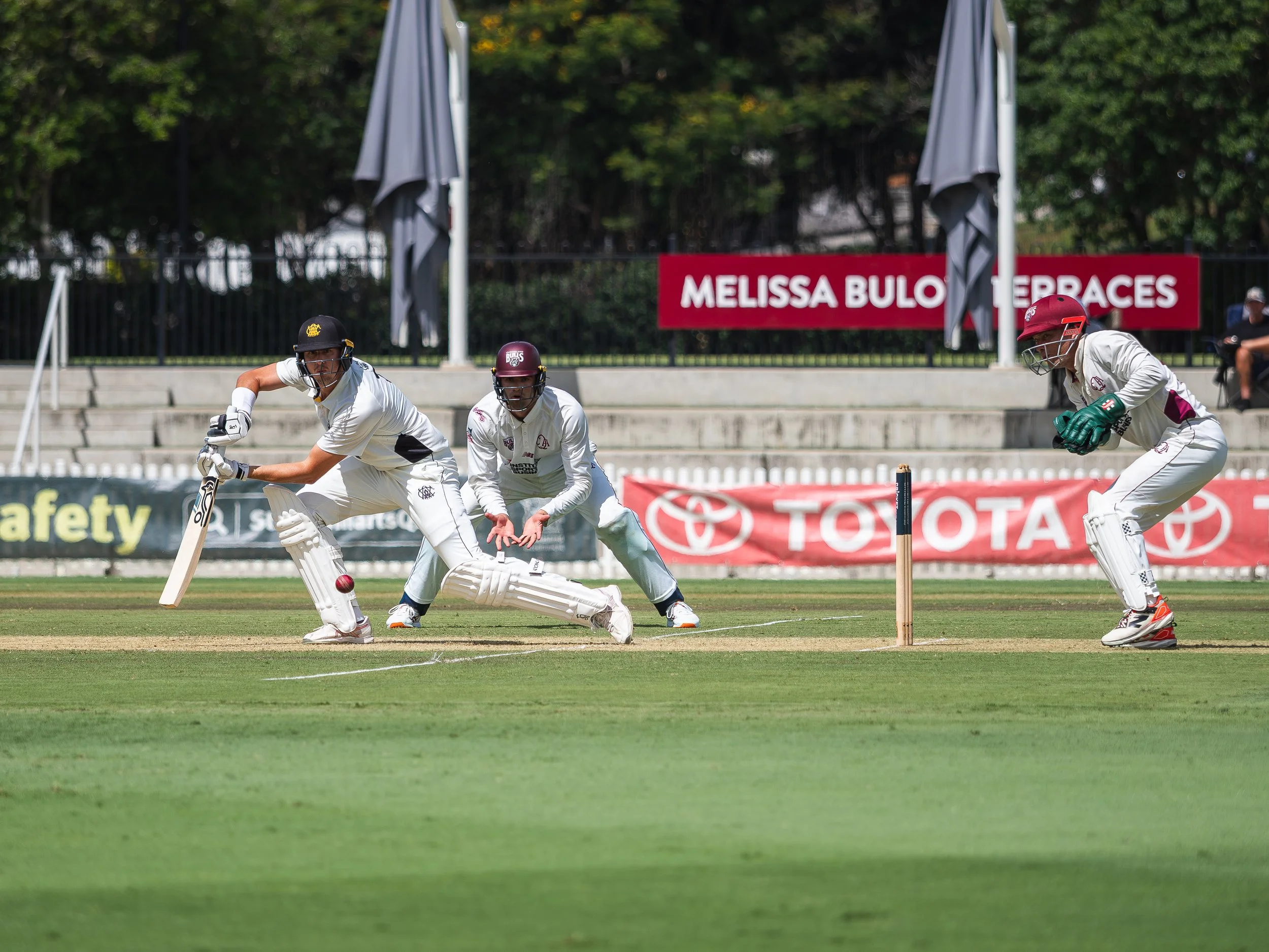 Cricket players in white uniforms on a field, with a player diving to catch a ball, and a player in red wicketkeeper gloves behind the stumps. Background includes a red sign reading 'Melissa Bulo Terraces' and trees.