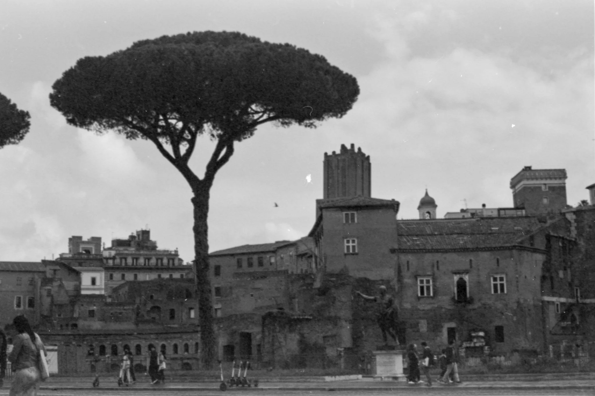 roma_02_6.jpg