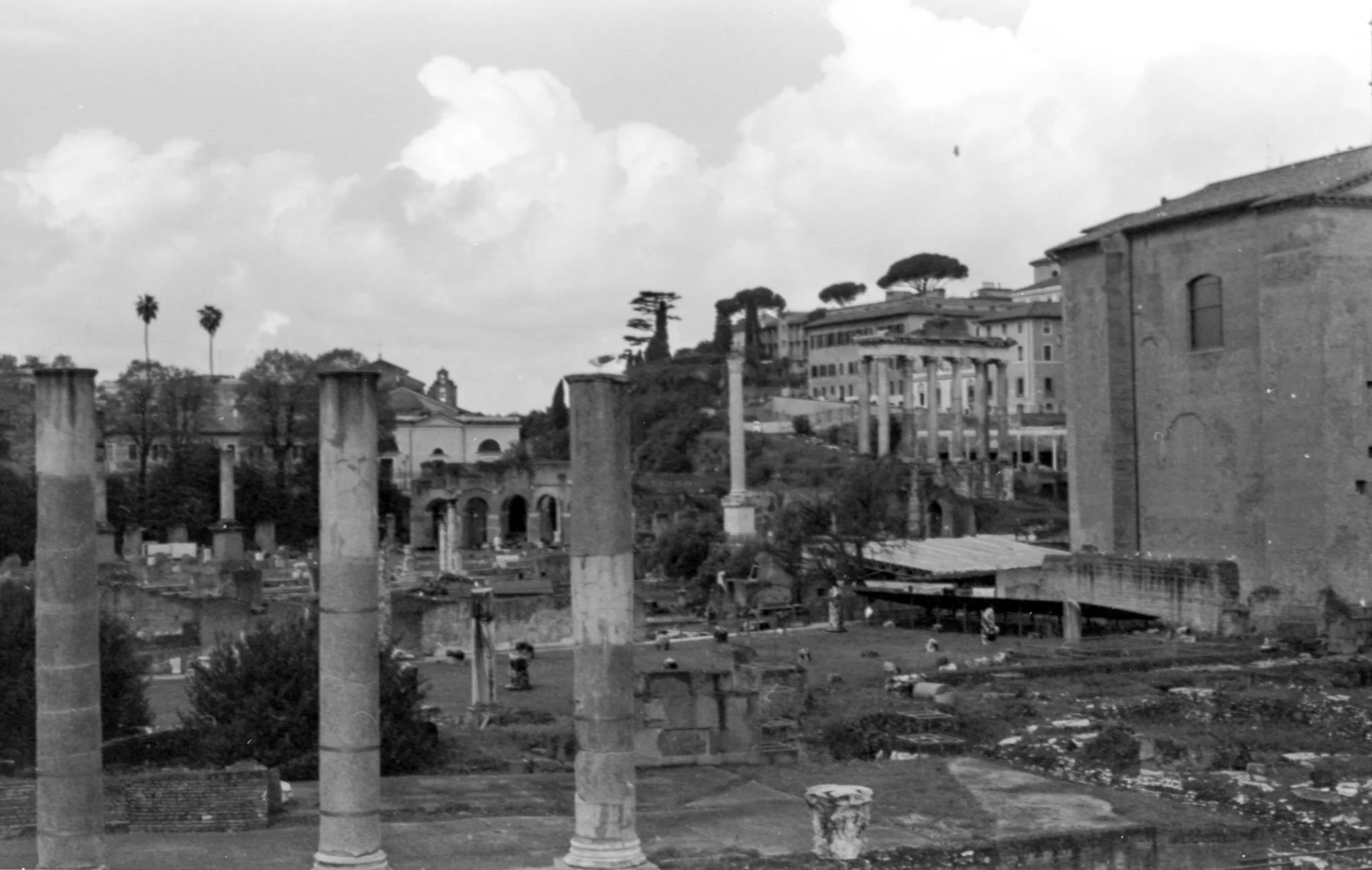 roma_02_5.jpg