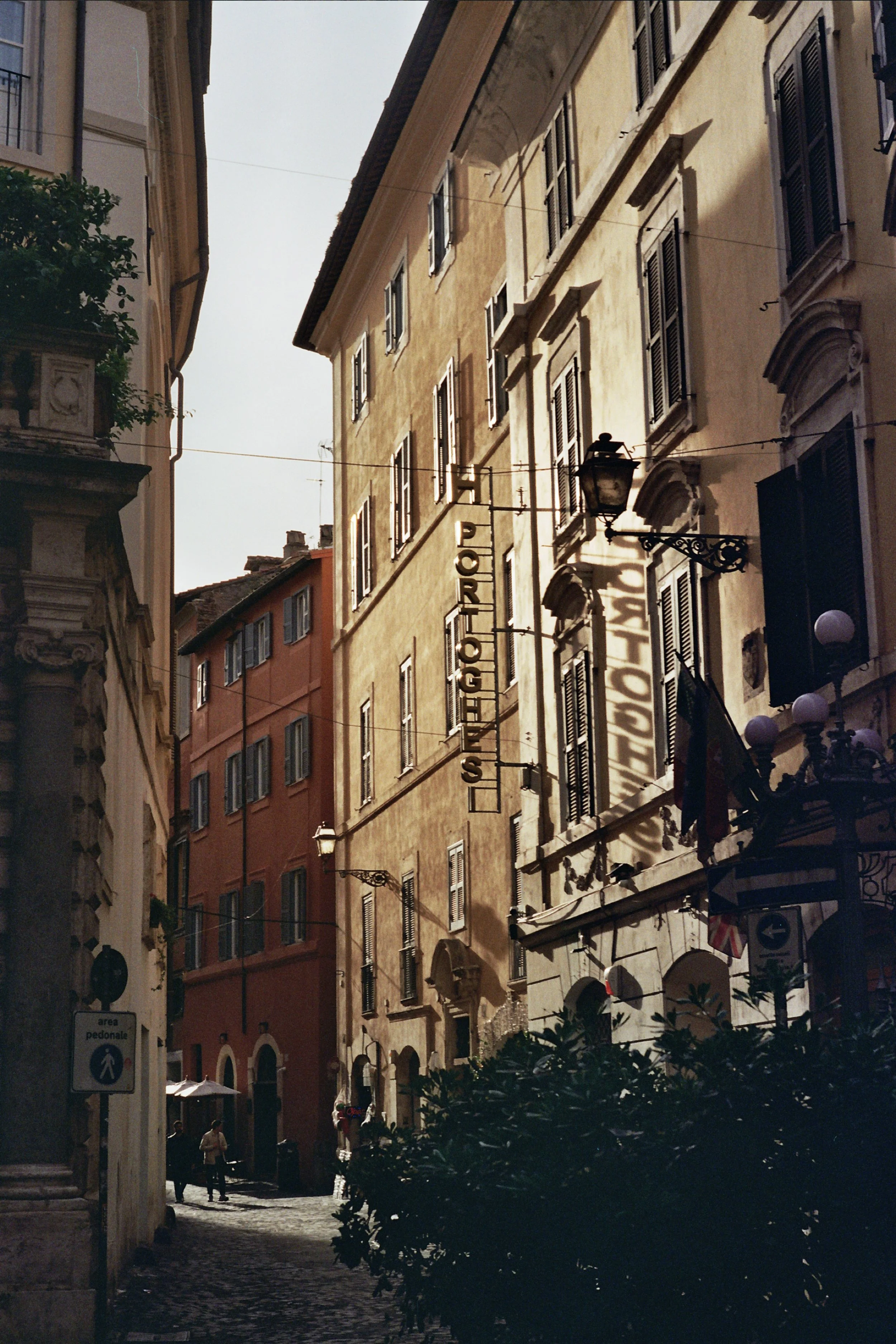 10A_0232.jpg