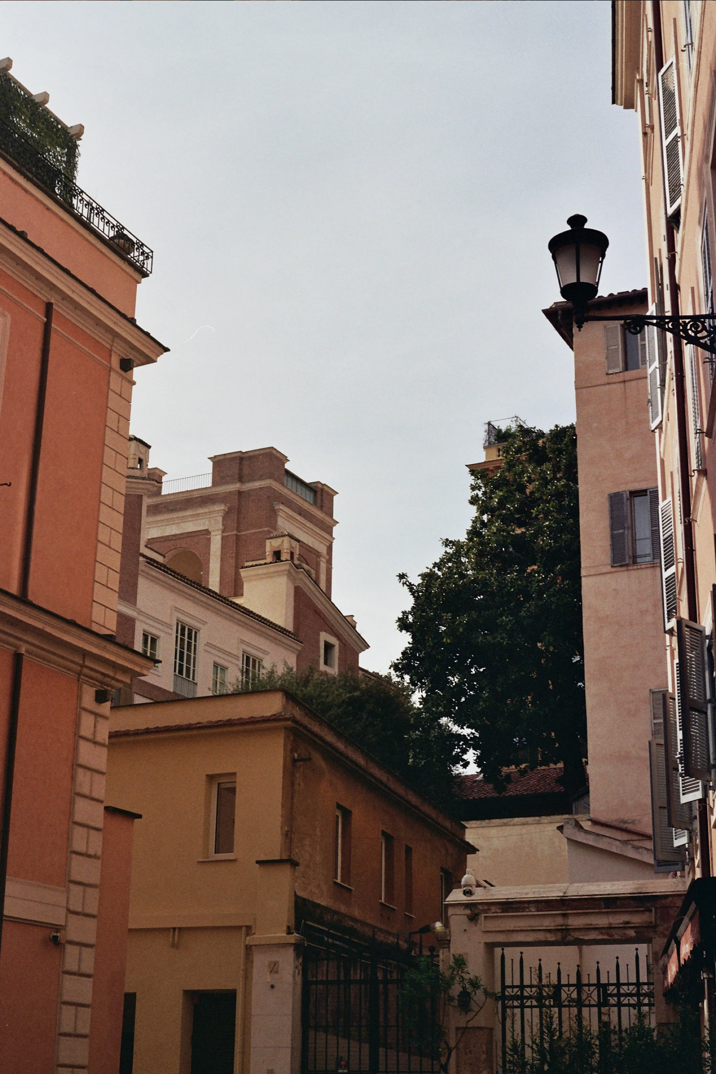 _2A_0224.jpg