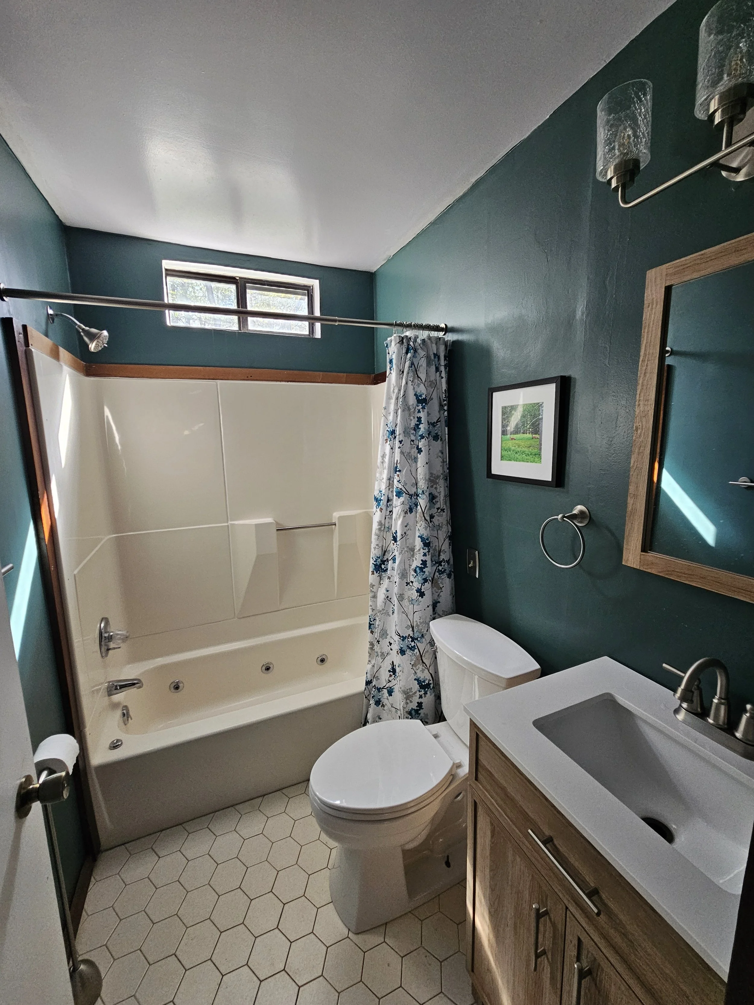 Our other bathroom got a moody facelift because, why not?
